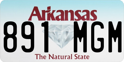 AR license plate 891MGM