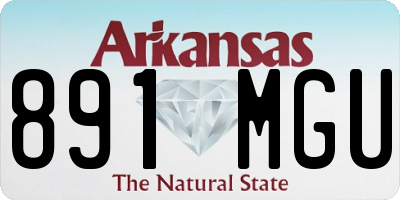 AR license plate 891MGU