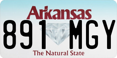AR license plate 891MGY