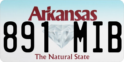 AR license plate 891MIB