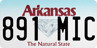 AR license plate 891MIC