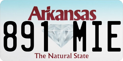 AR license plate 891MIE