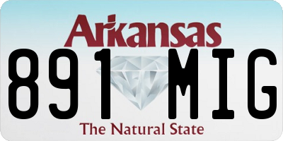 AR license plate 891MIG