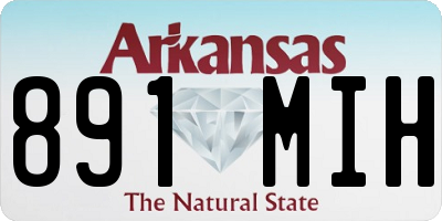 AR license plate 891MIH