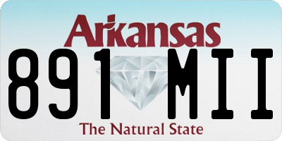 AR license plate 891MII