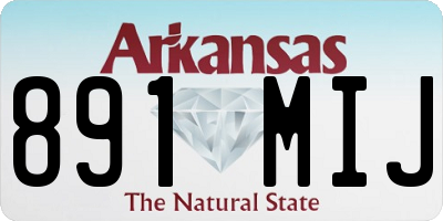 AR license plate 891MIJ