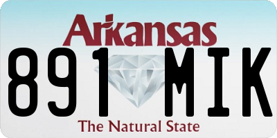 AR license plate 891MIK