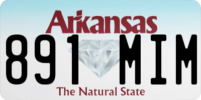 AR license plate 891MIM