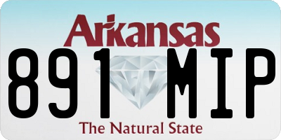 AR license plate 891MIP