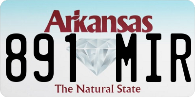 AR license plate 891MIR
