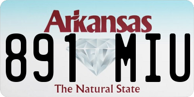 AR license plate 891MIU