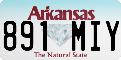 AR license plate 891MIY