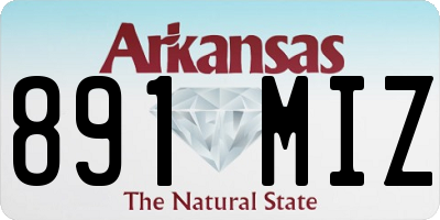 AR license plate 891MIZ