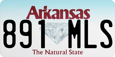 AR license plate 891MLS