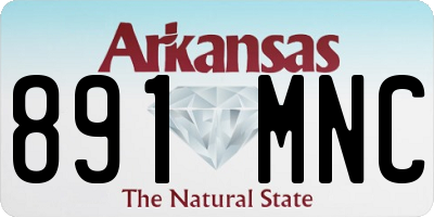 AR license plate 891MNC