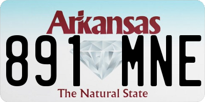 AR license plate 891MNE