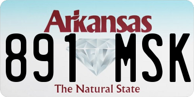 AR license plate 891MSK