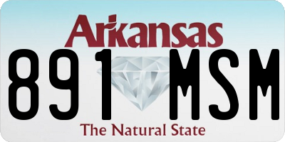 AR license plate 891MSM