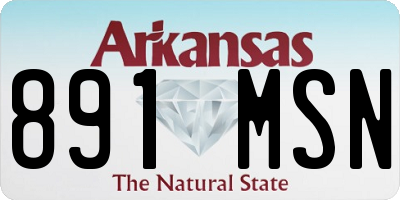 AR license plate 891MSN