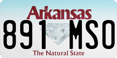 AR license plate 891MSO