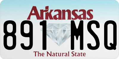 AR license plate 891MSQ