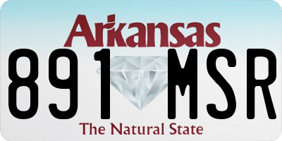 AR license plate 891MSR