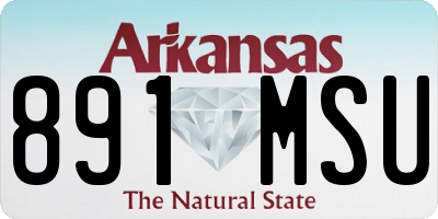 AR license plate 891MSU
