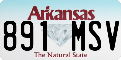 AR license plate 891MSV