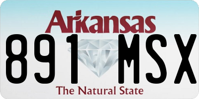 AR license plate 891MSX