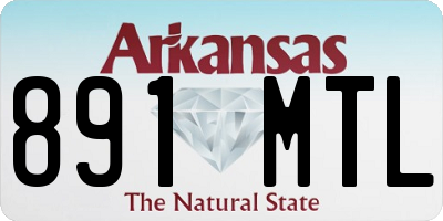 AR license plate 891MTL