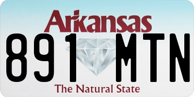 AR license plate 891MTN