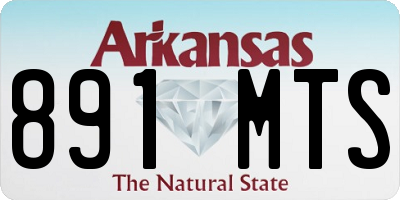 AR license plate 891MTS