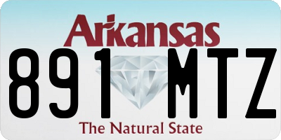 AR license plate 891MTZ