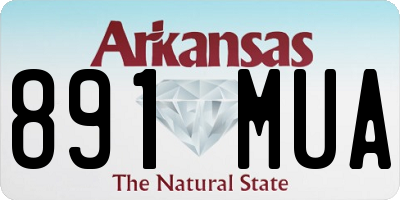 AR license plate 891MUA