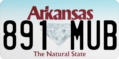 AR license plate 891MUB