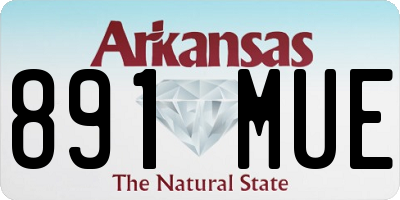 AR license plate 891MUE