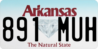 AR license plate 891MUH