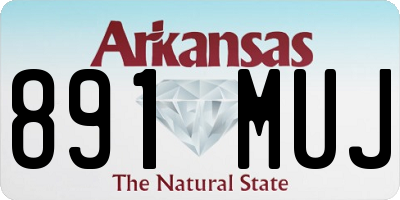 AR license plate 891MUJ