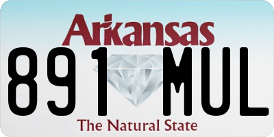 AR license plate 891MUL