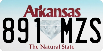 AR license plate 891MZS
