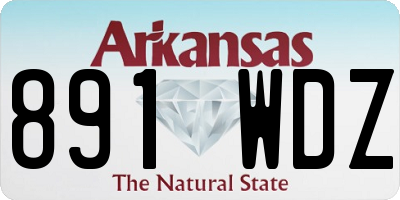 AR license plate 891WDZ