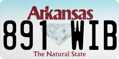 AR license plate 891WIB
