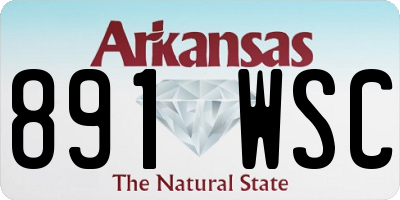 AR license plate 891WSC