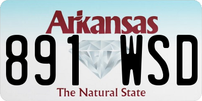 AR license plate 891WSD
