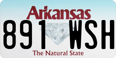 AR license plate 891WSH