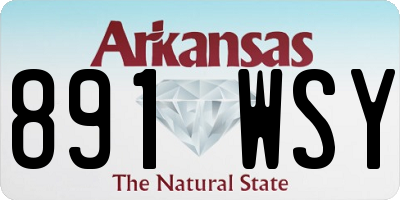 AR license plate 891WSY