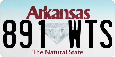 AR license plate 891WTS