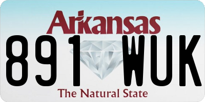 AR license plate 891WUK