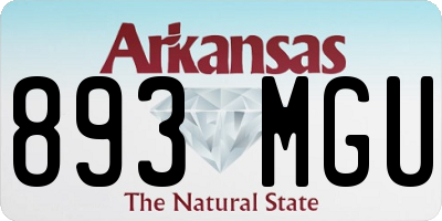 AR license plate 893MGU