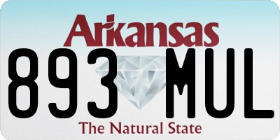 AR license plate 893MUL